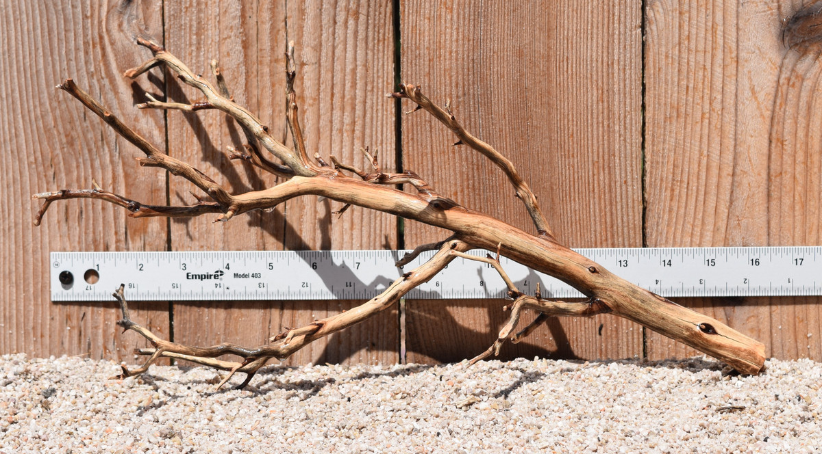 Manzanita #2200 16"x6"x7"