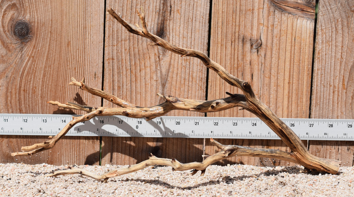Manzanita #2208 16"x7"x9"