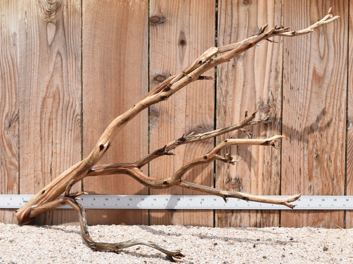 Xlg Manzanita #2251 30"x11"x17"