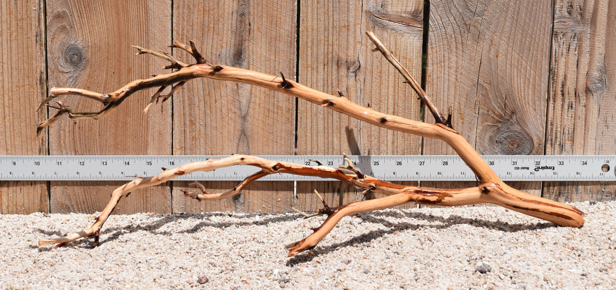 Manzanita #2337 22"x8"x9"