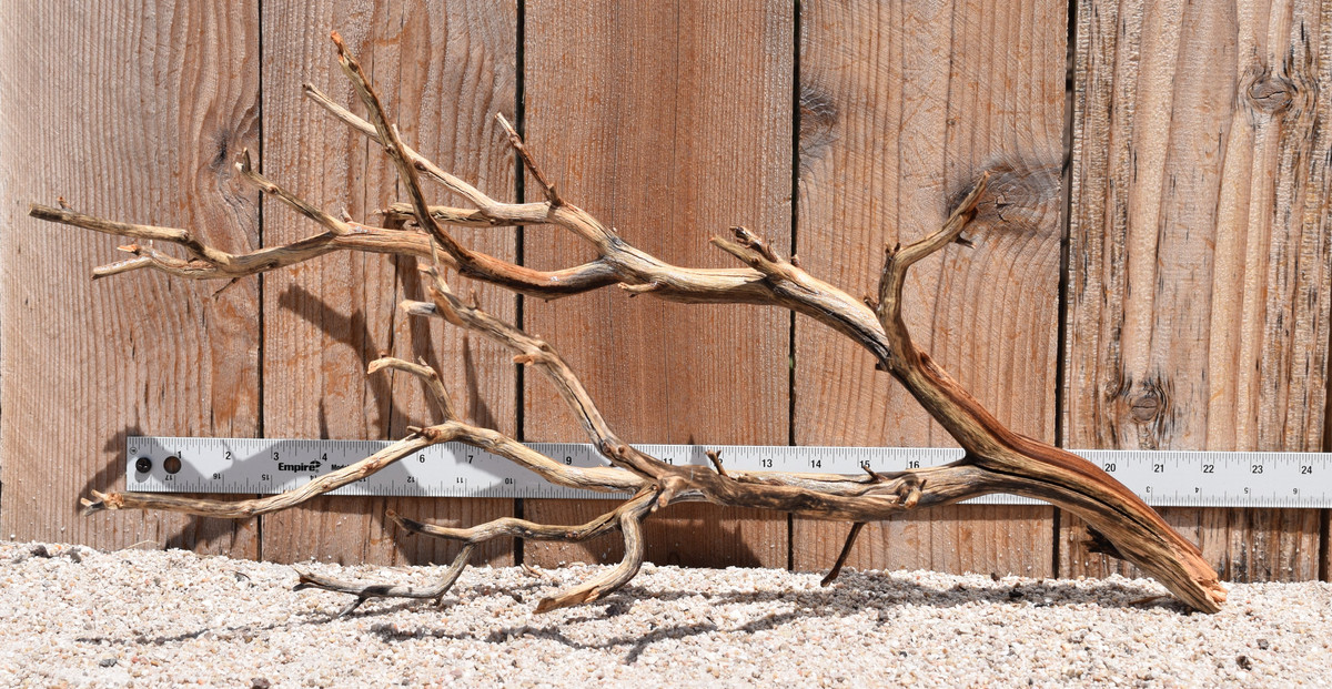 Manzanita #2344 22"x10"x11"