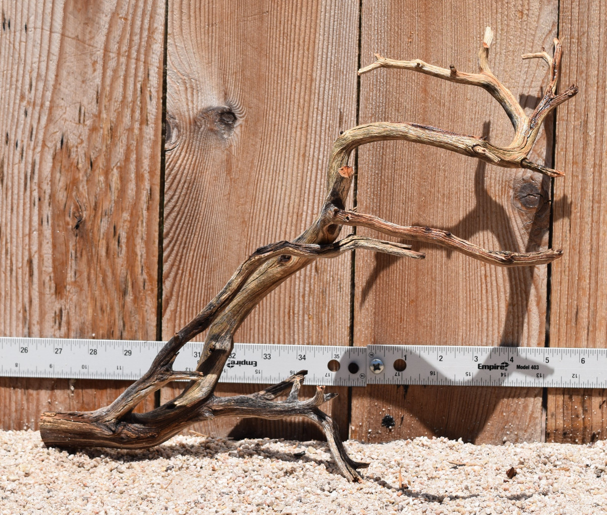 Manzanita #2428 16"x9"x12"