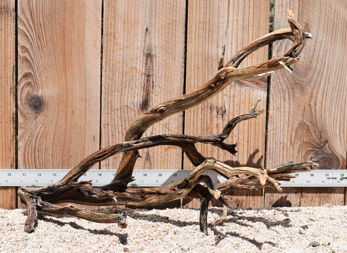 Manzanita #2432 19"x12"x13"