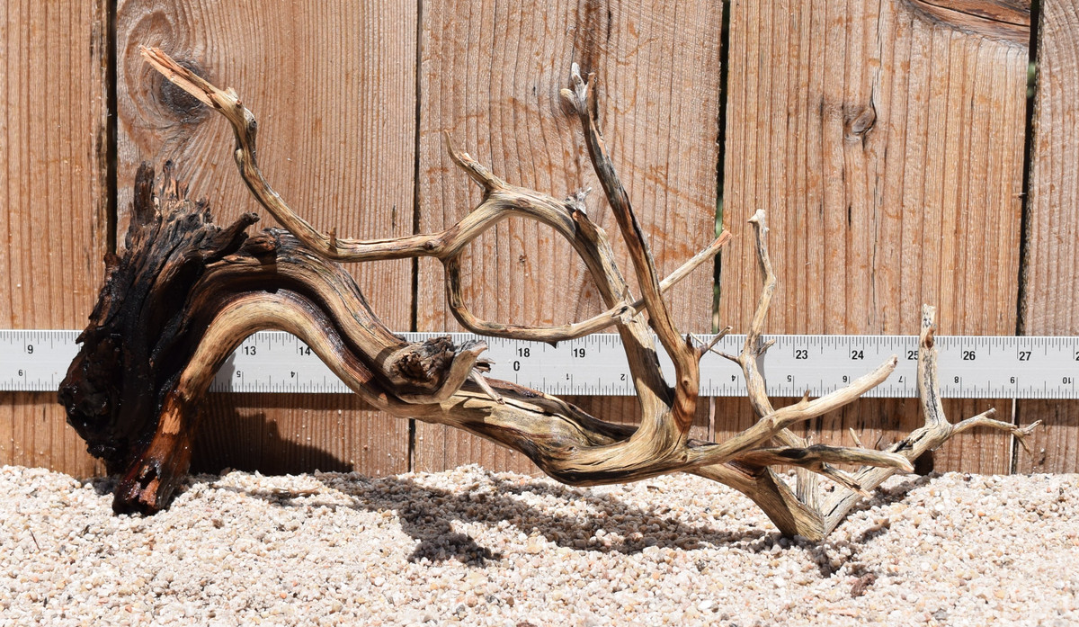 Manzanita #2435 18"x8"x9