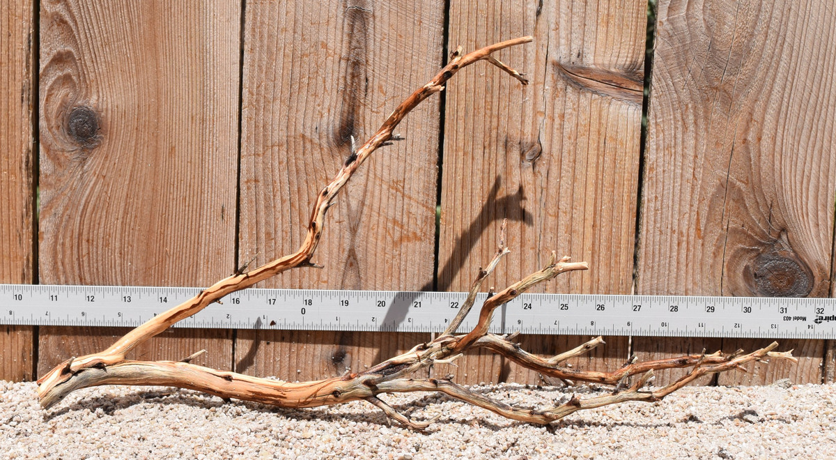 Manzanita #2441 20"x6"x10"