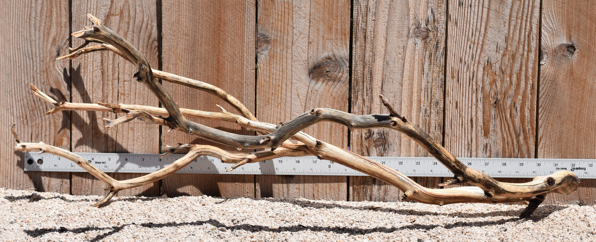 Xlg Manzanita #2378 33"x16"x12"