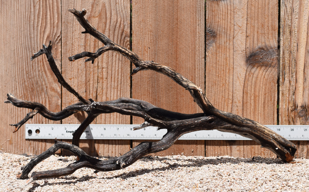 Uncleaned Manzanita 2569 22"x12"x12"