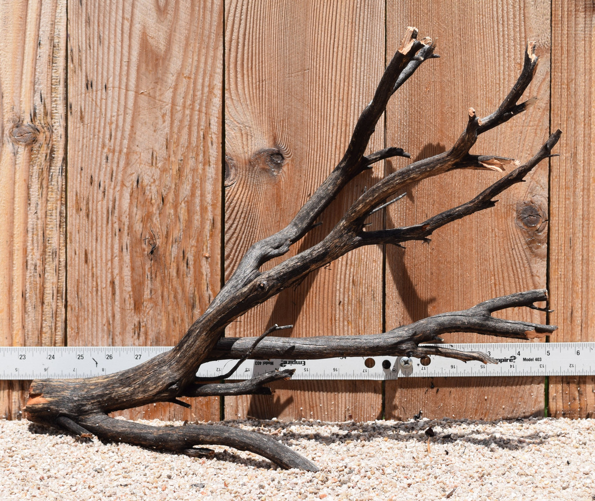 Uncleaned Manzanita 2570 18"x9"x13"