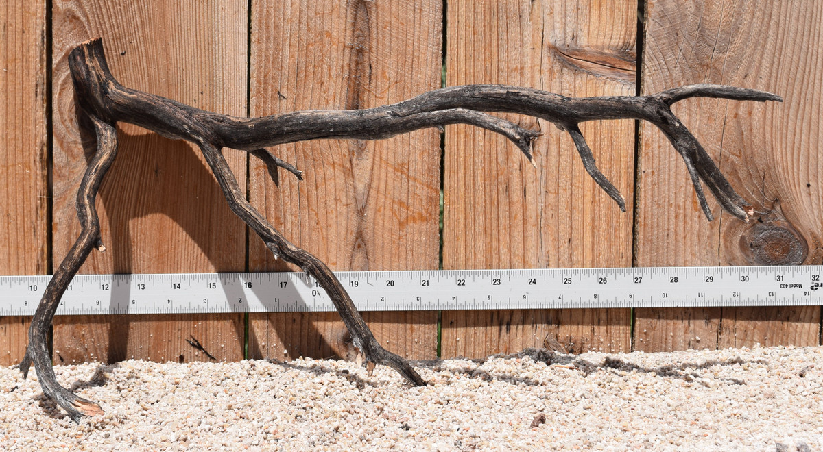 Uncleaned Manzanita 2571 20"x8"x9"