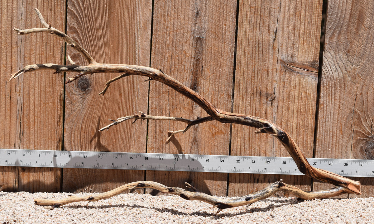 Manzanita #2780 22"x6"x12"