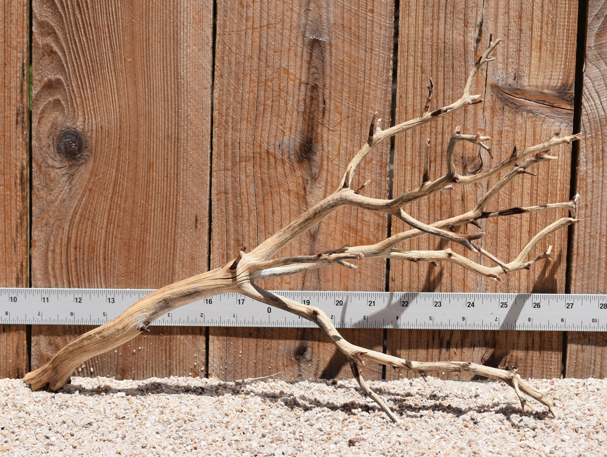 Manzanita #2783 17"x9"x10"