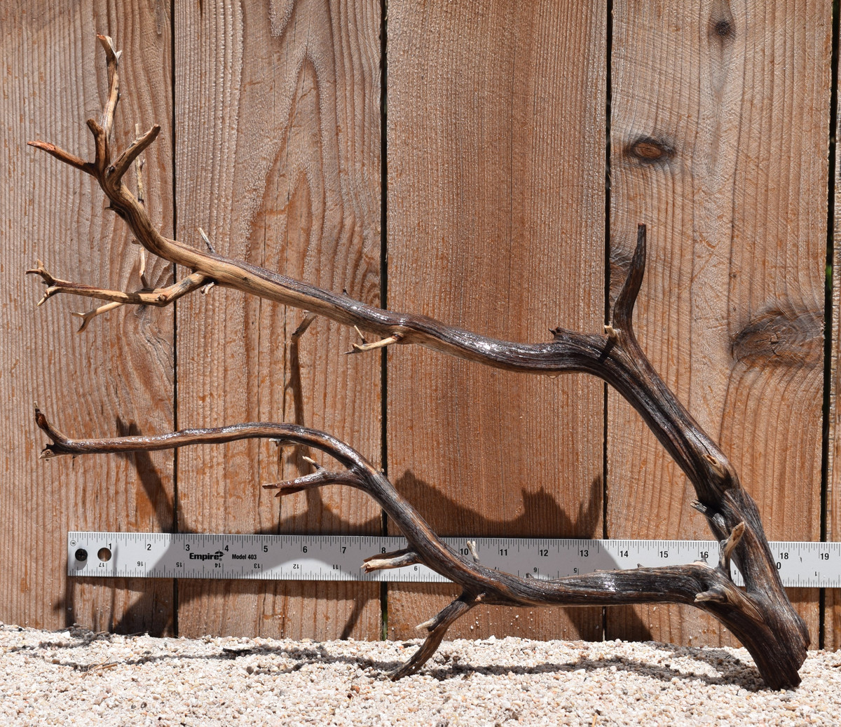 Manzanita #2784 20"x8"x15"