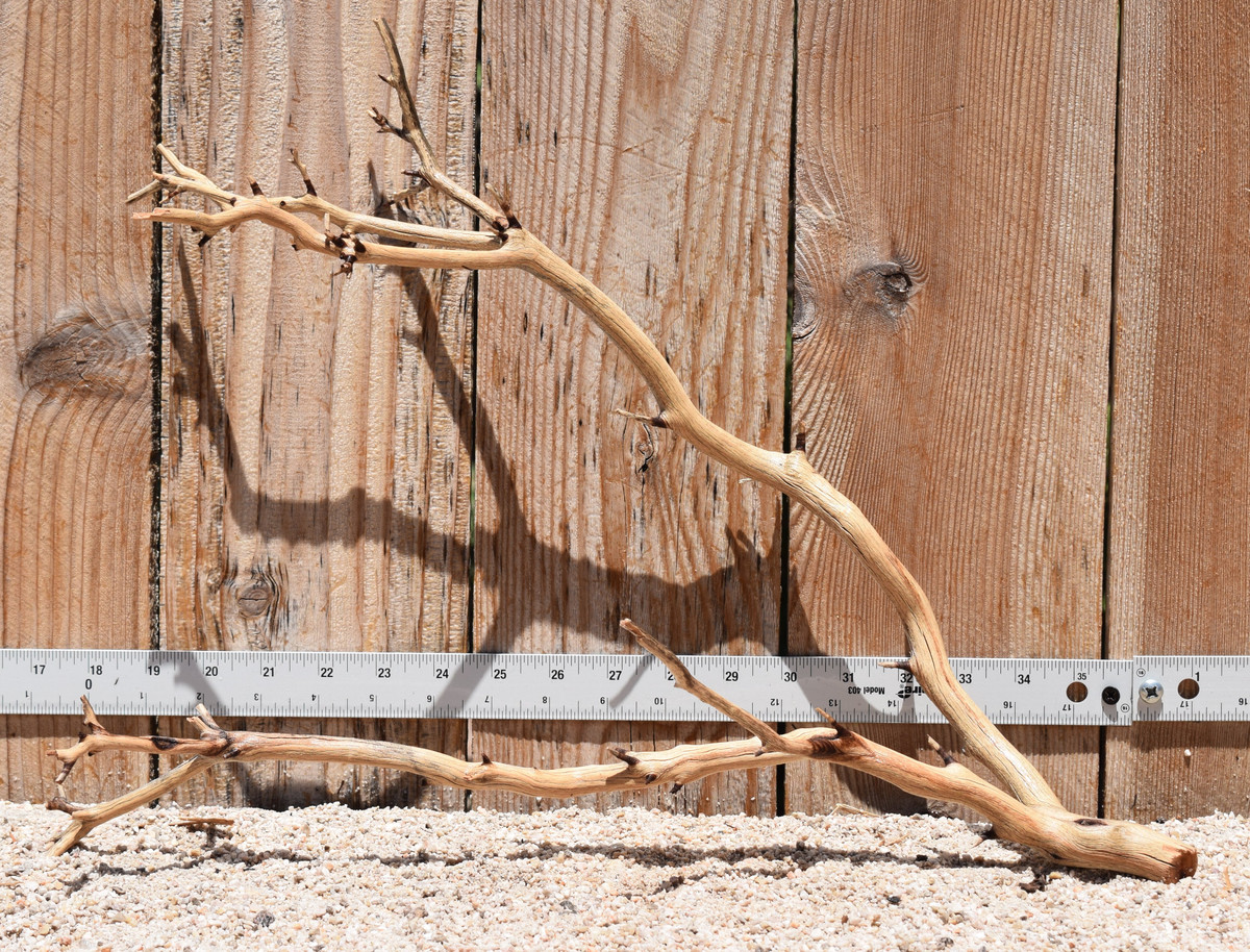 Manzanita #2788 19"x7"x12"