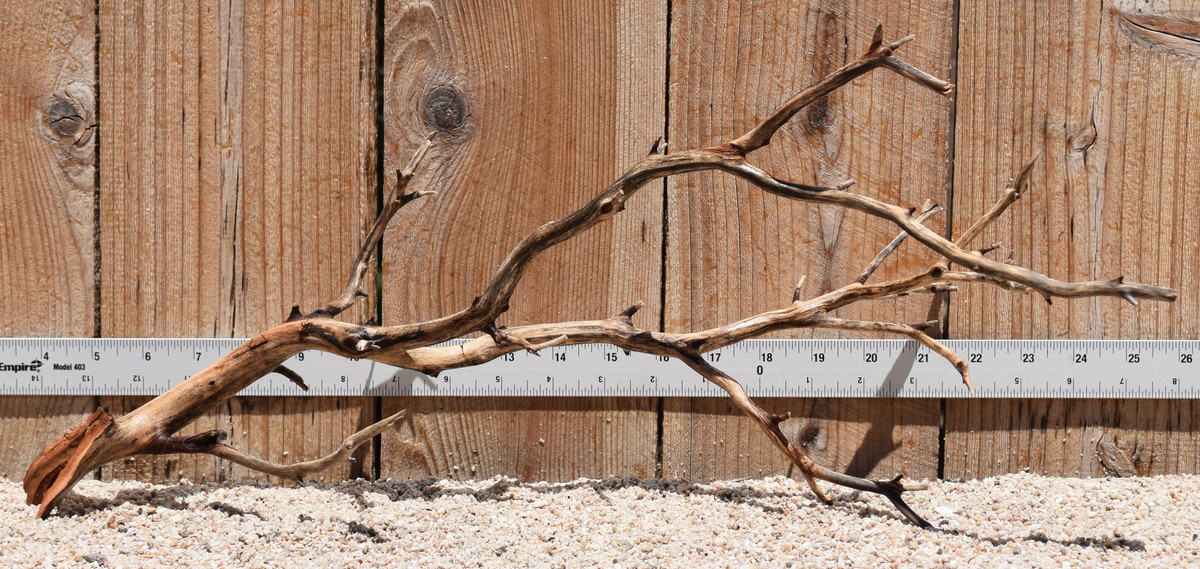 Manzanita #2789 20"x8"x9"