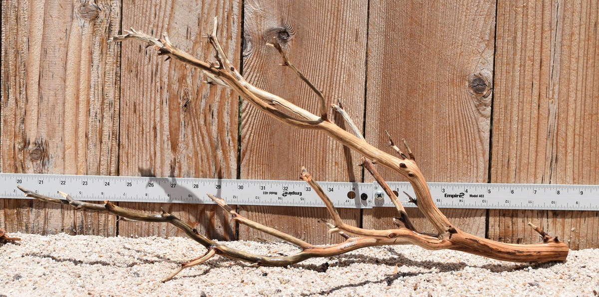 Manzanita #2791 23"x9"x10"
