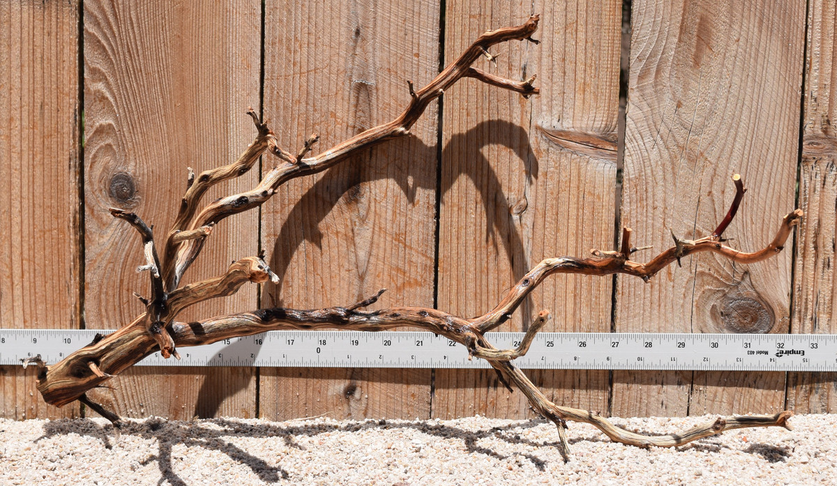 Manzanita #2795 22"x9"x13"