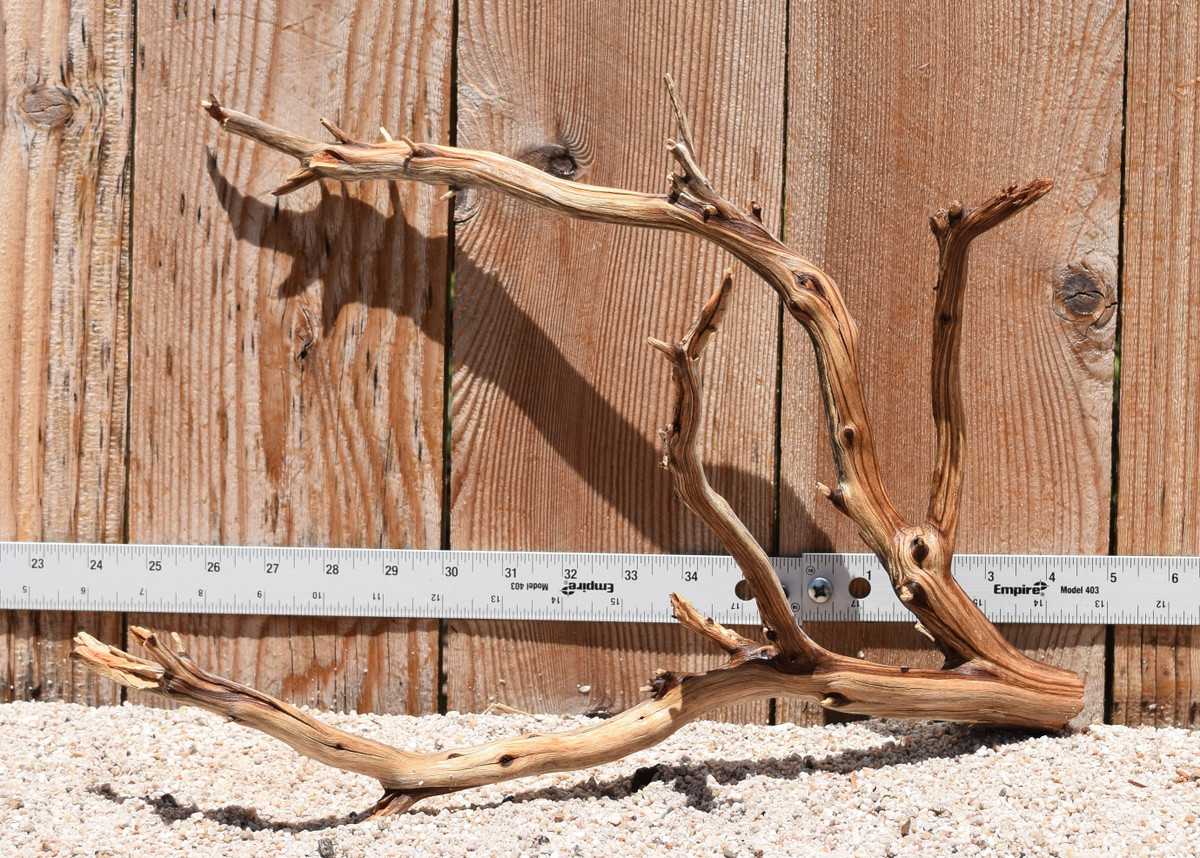 Manzanita #2797 16"x8"x11"