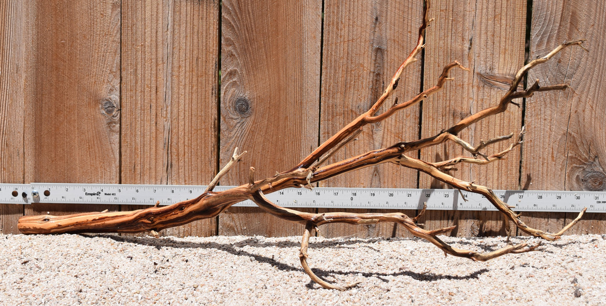 Xlg Manzanita #2802 31"x12"x14"
