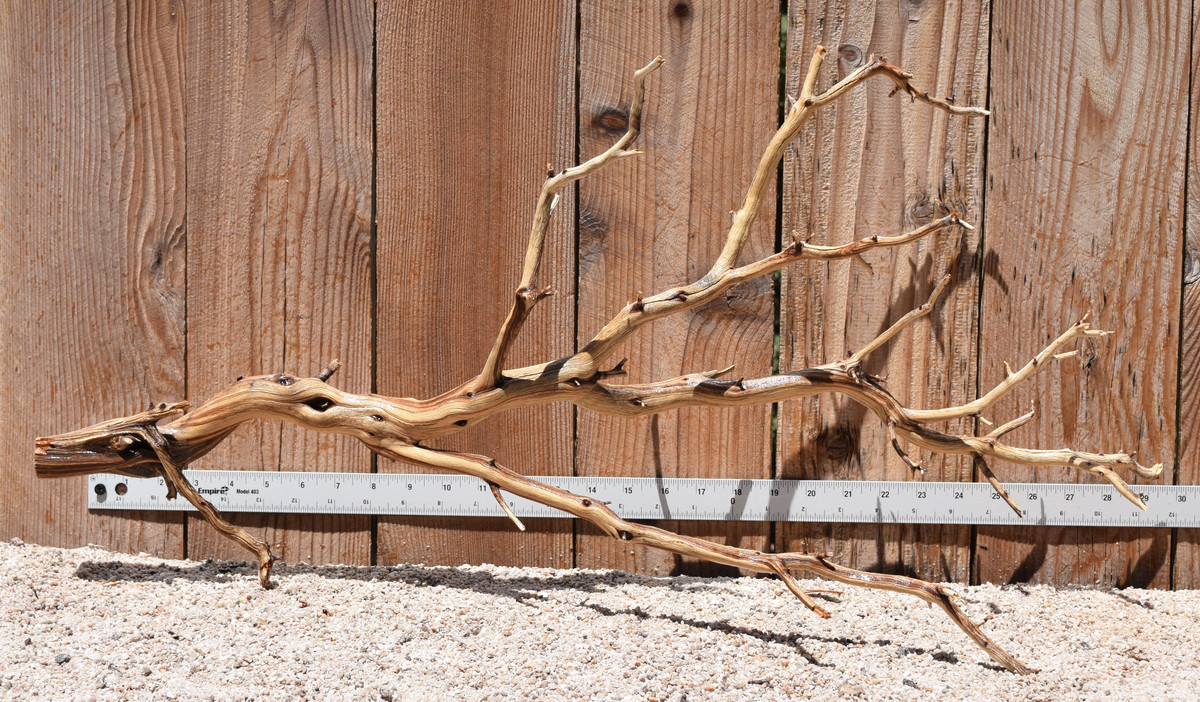 Xlg Manzanita #2803 30"x9"x15"
