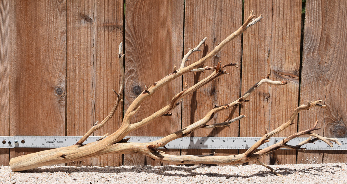 Xlg Manzanita #2804 30"x9"x15"
