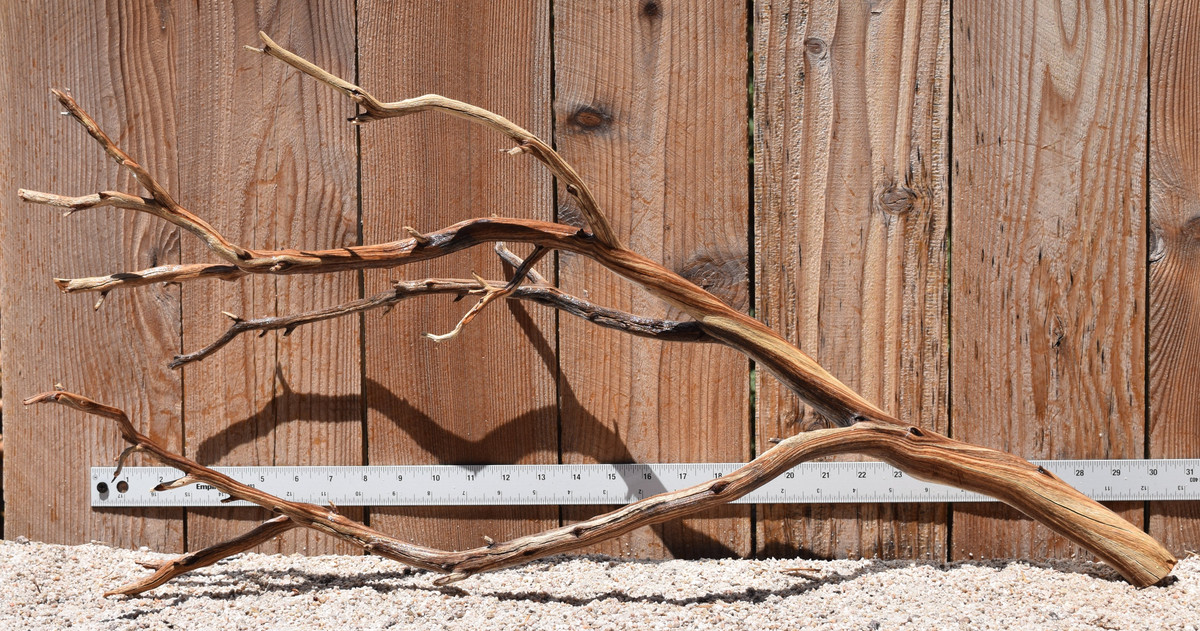 Xlg Manzanita #2805 30"x11"x15"