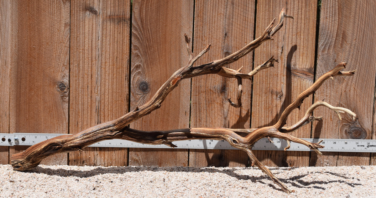 Xlg Manzanita #2806 30"x13"x14"