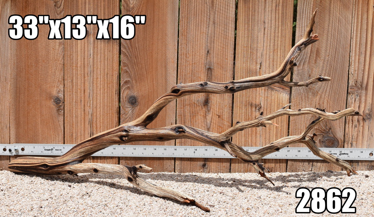 Xlg Manzanita #2862 33"x13"x16"