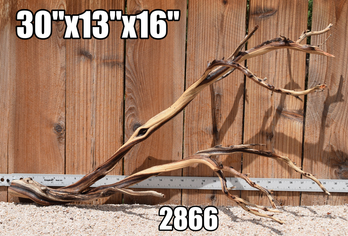 Xlg Manzanita #2866 30"x13"x16"