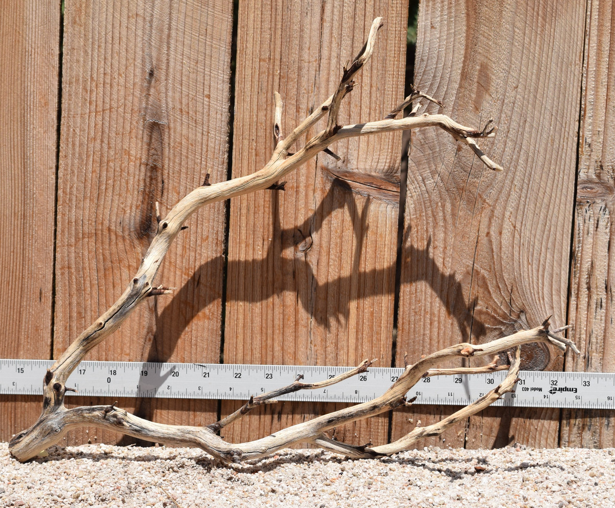 Manzanita #2914 17"x7"x14"
