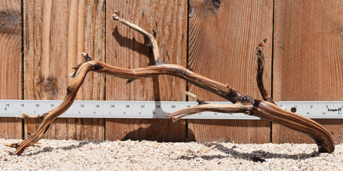 Manzanita #2916 21"x6"x9"