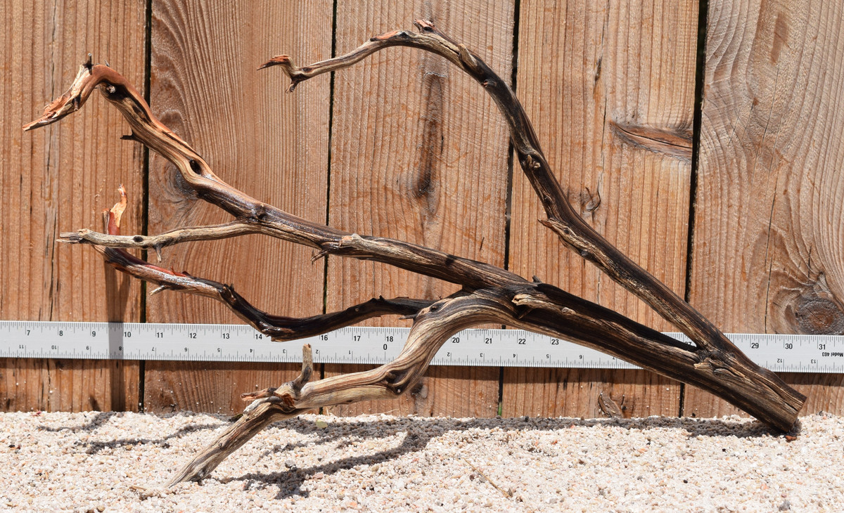 Manzanita #2917 22"x11"x13"