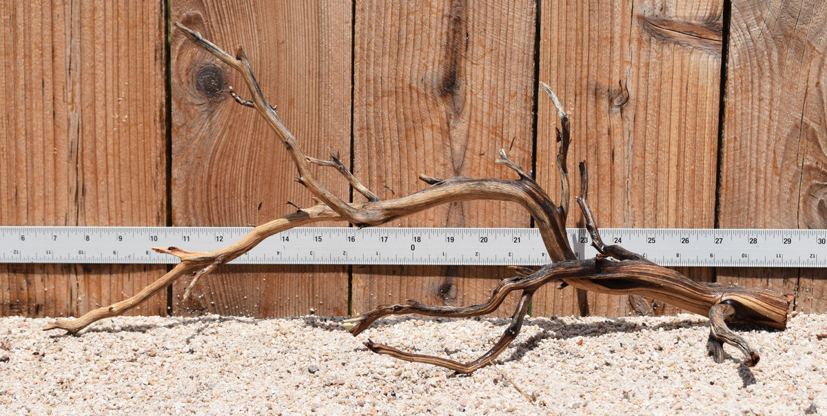 Manzanita #2920 21"x9"x10"