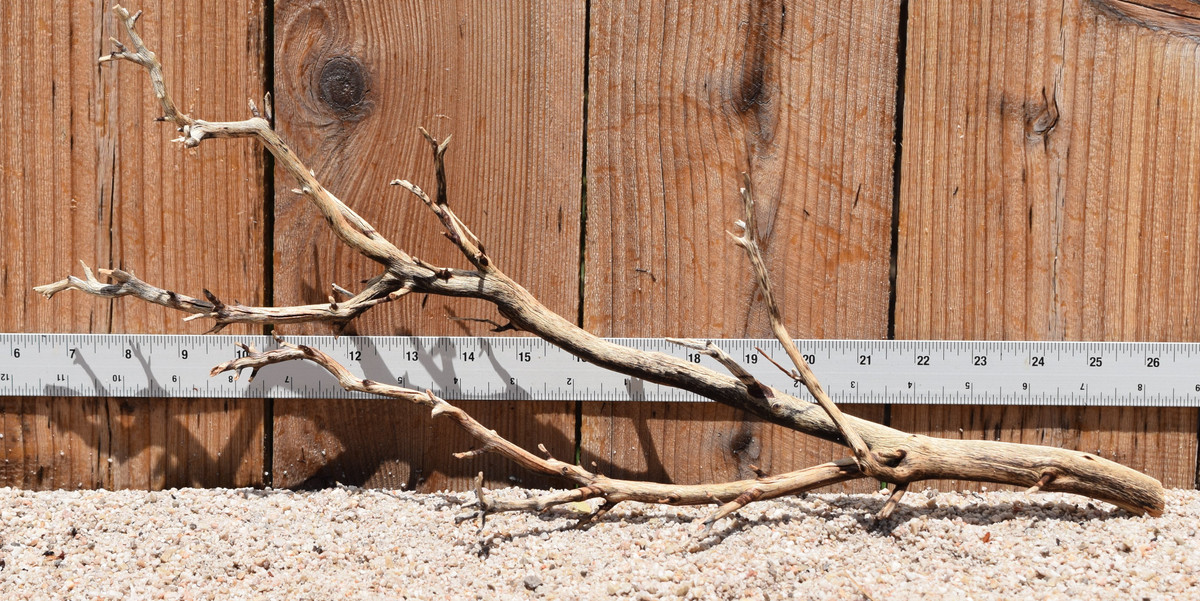 Manzanita #2923 19"x4"x9"