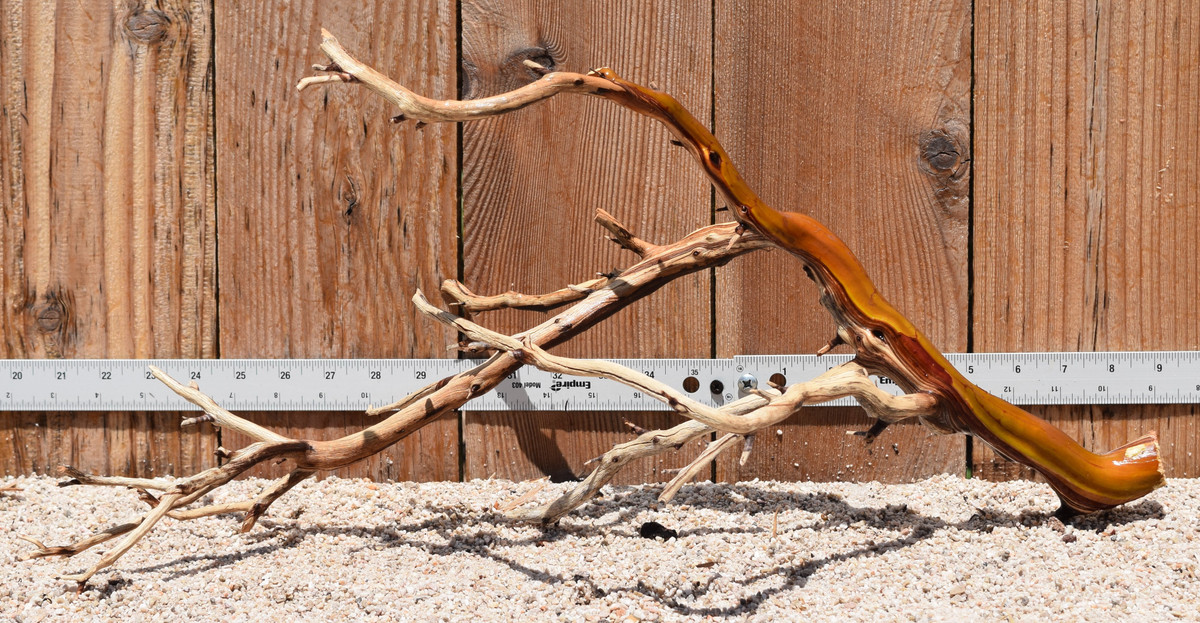 Manzanita #2925 23"x12"x11"