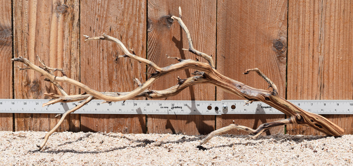 Manzanita #2928 24"x9"x11"