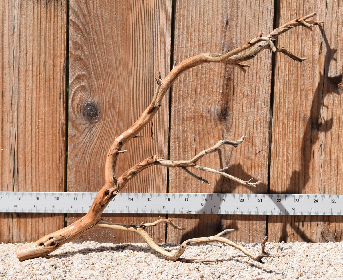 Manzanita #3002 17"x8"x13"