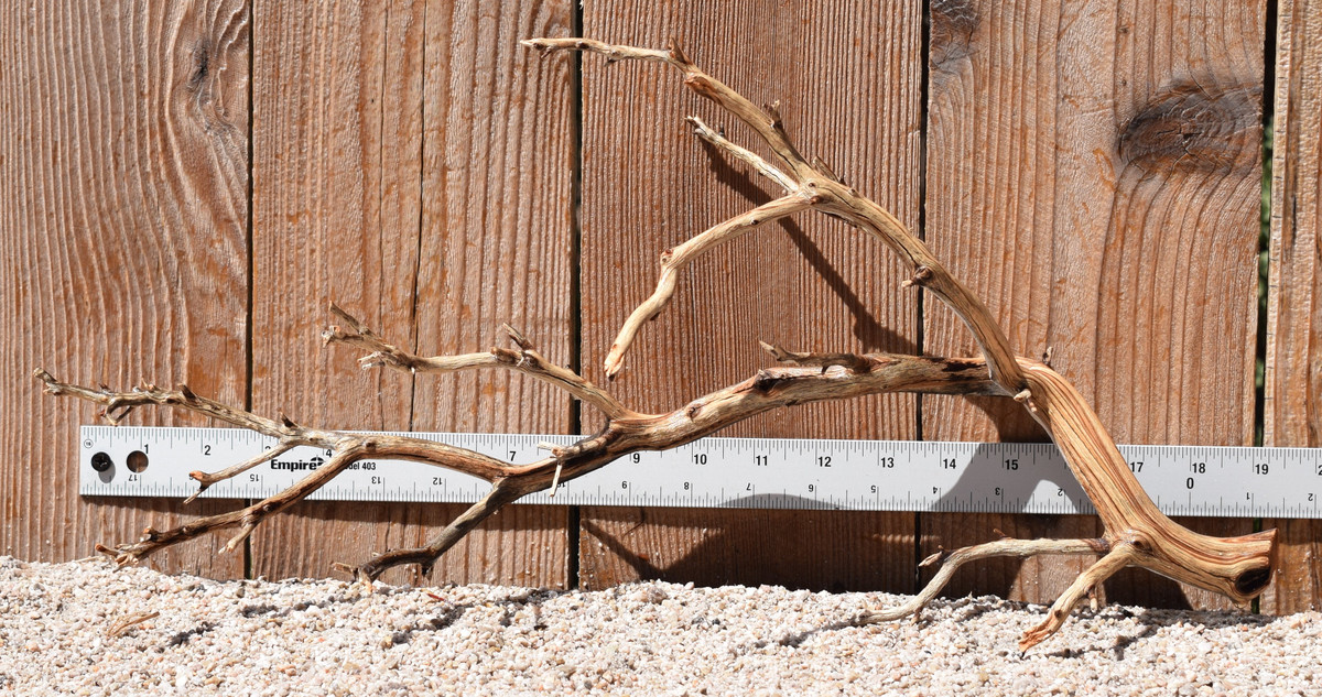 Manzanita #3003 19"x7"x9"