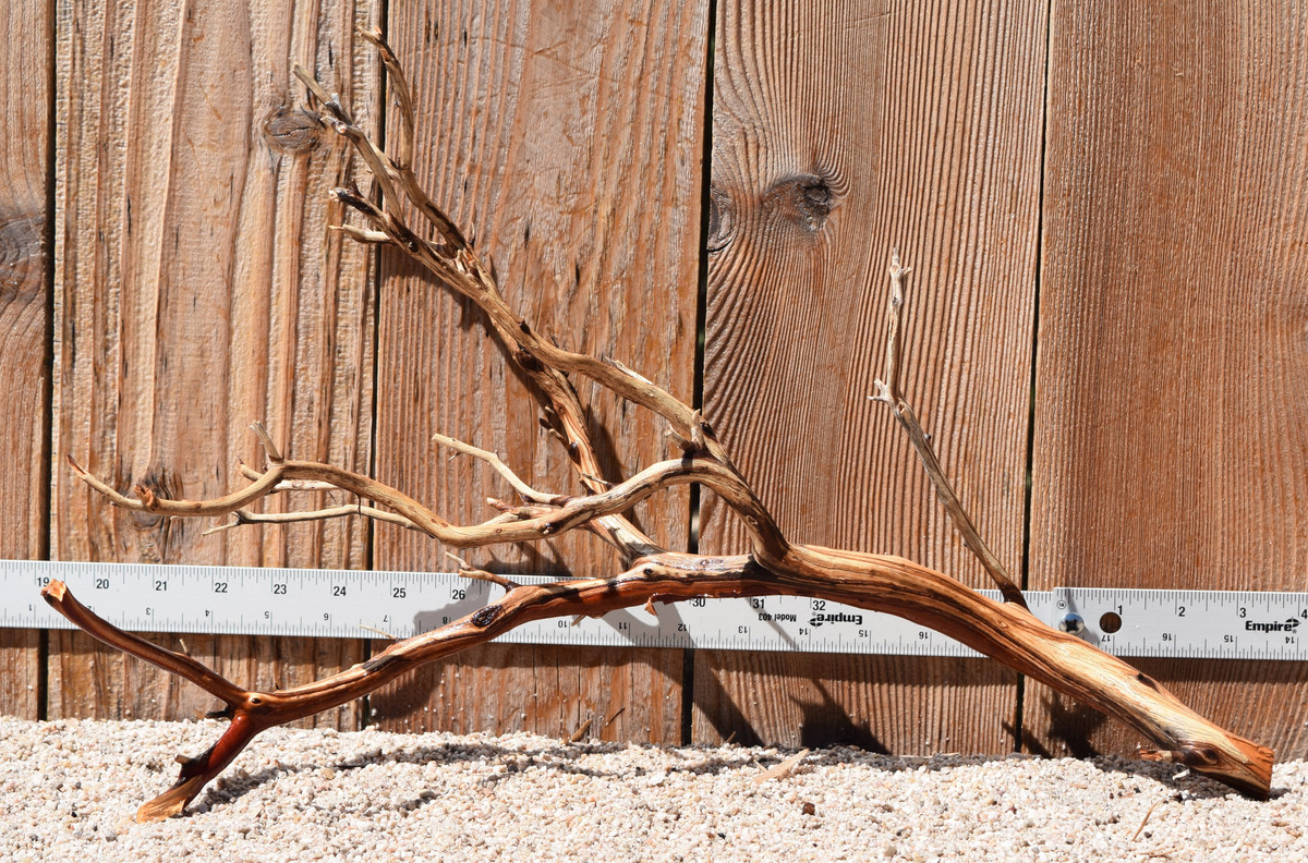Manzanita #3013 19"x8"x12"