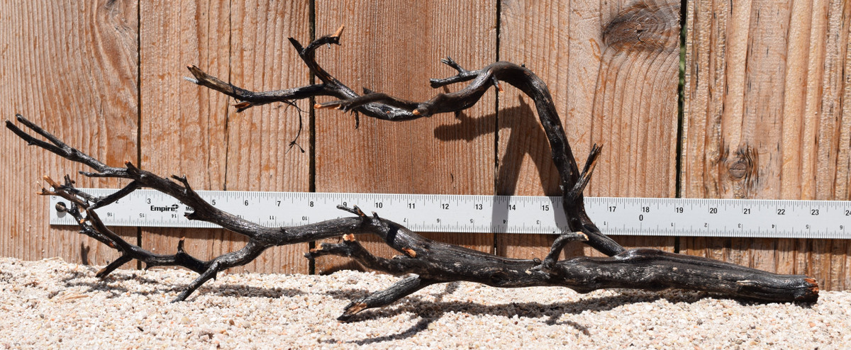 Uncleaned Manzanita 3034 23"x9"x8"