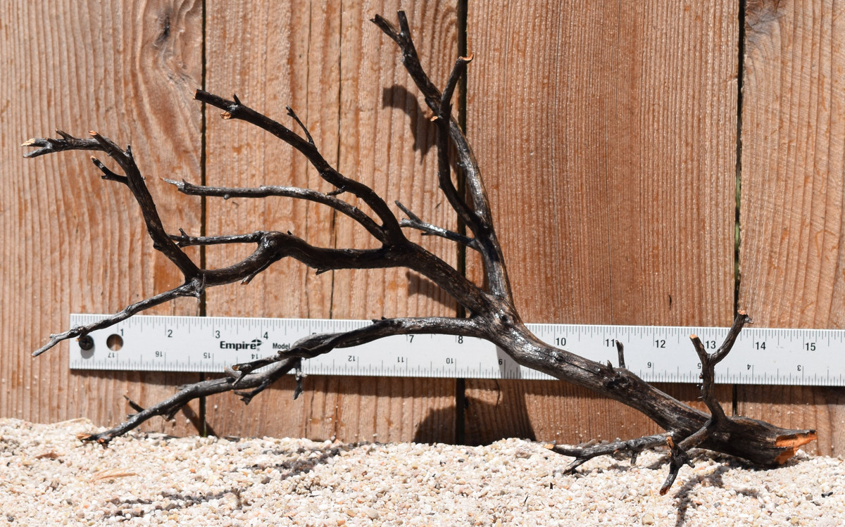 Uncleaned Manzanita 3040 15"x10"x9"