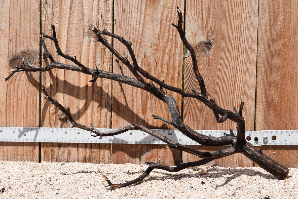 Uncleaned Manzanita 3041 20"x10"x13"