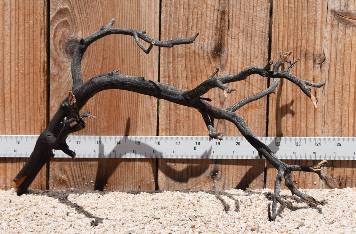 Uncleaned Manzanita 3042 15"x9"x9"