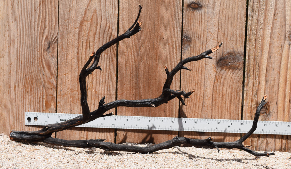 Uncleaned Manzanita 3043 22"x7"x11"