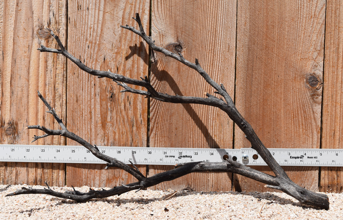 Uncleaned Manzanita 3044 19"x8"x12"