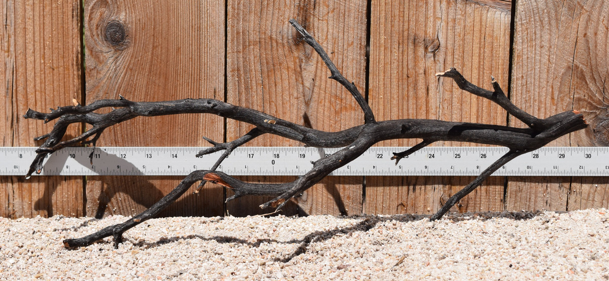 Uncleaned Manzanita 3045 21"x8"x9"