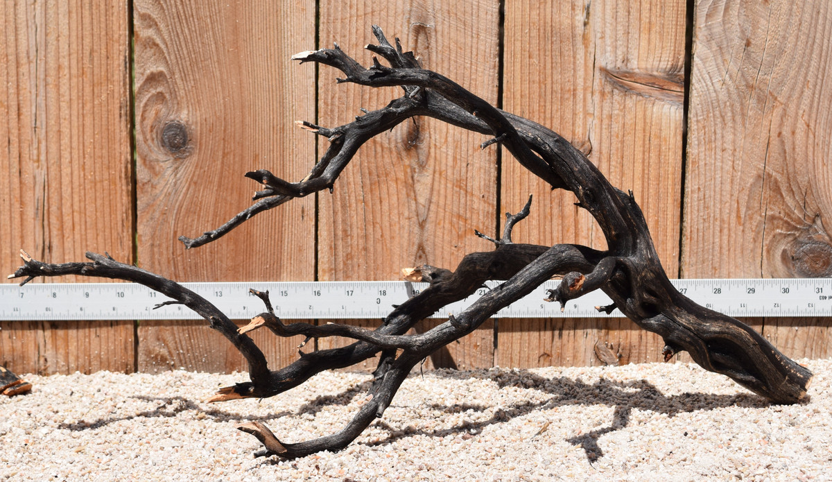 Uncleaned Manzanita 3048 21"x12"x12"