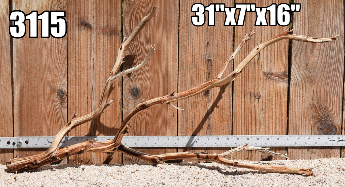 Xlg Manzanita #3115 31"x7"x16"