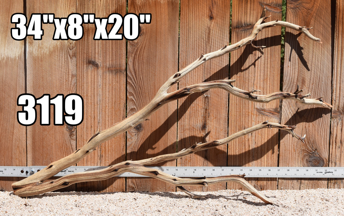 Xlg Manzanita #3119 34"x8"x20"