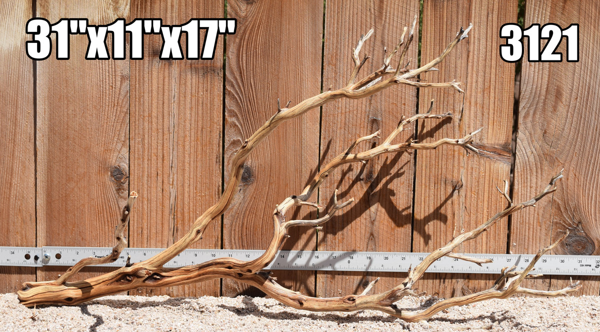 Xlg Manzanita #3121 31"x11"x17"