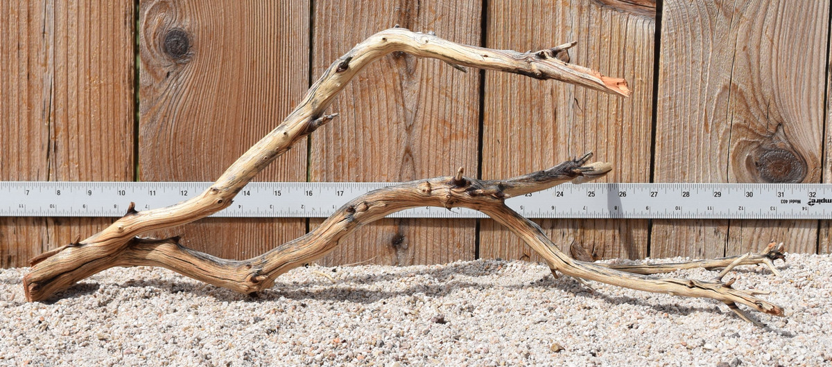 Manzanita #3152 23"x12"x9"